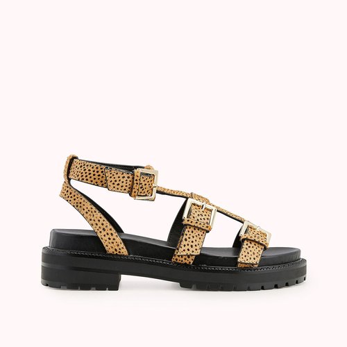 Cosmoparis leopard new arrivals