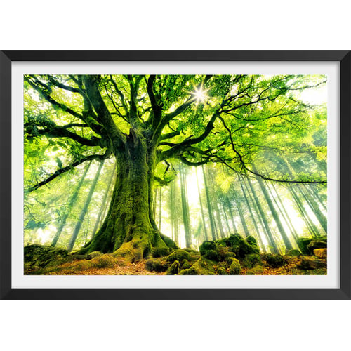 Poster Décoratif 61x91,5 Cm Forêt Arbres Nature - Art Mural Moderne ARTTOR - Neuf