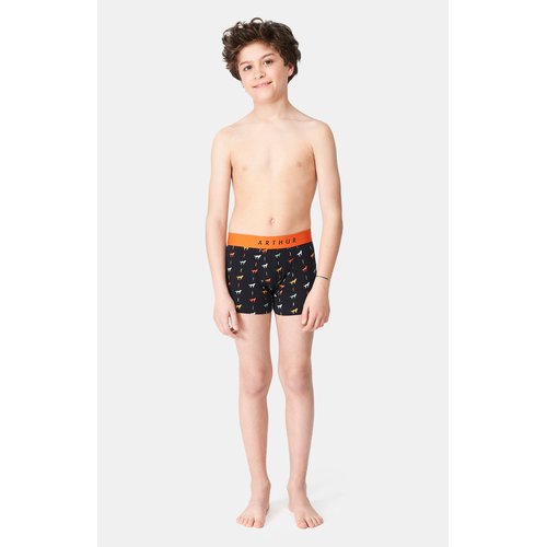 Boxer en coton jeune loup noir Arthur La Redoute