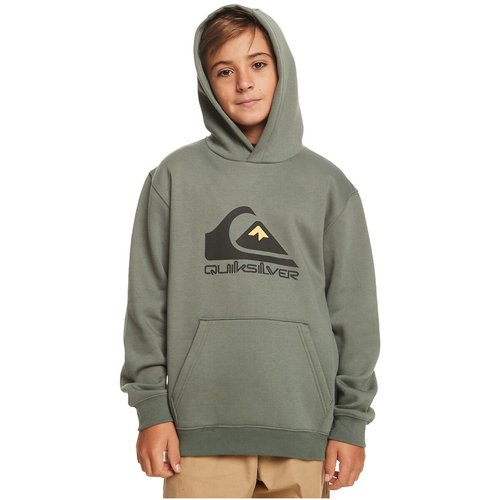 Sweat a capuche en molleton Quiksilver vert La Redoute