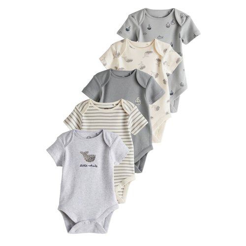 Lot de 5 bodies a manches courtes bebe baleine grise Next La Redoute