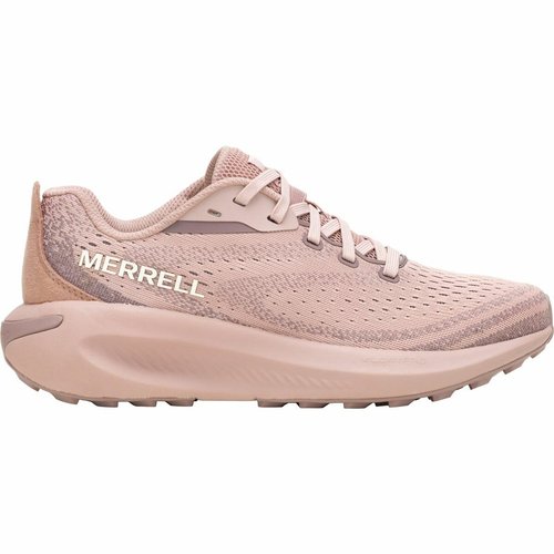 Morphlite Trainers