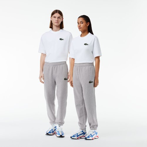 Lacoste survetement gris cheap