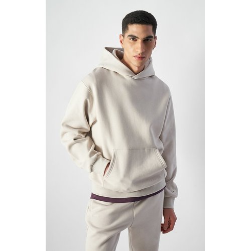 Hoodie champion grey cheap