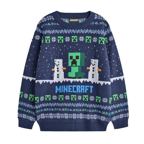 Sweat enfant garçon Minecraft - Sportswears et sweat à capuche pour garçons
