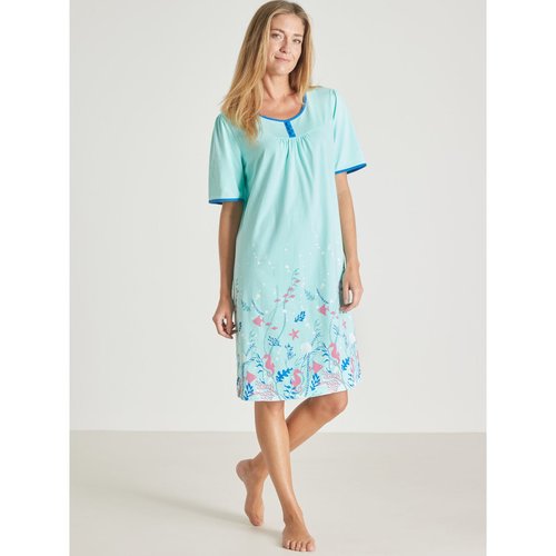 Chemise de nuit manches courtes coton vert celadon Daxon La Redoute