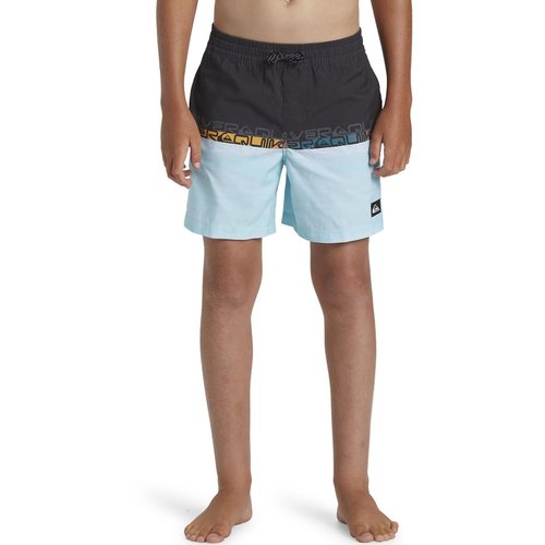 Quiksilver recycled board shorts outlet