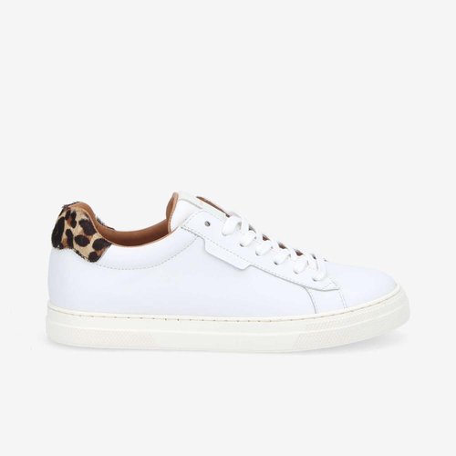 Schmoove basket outlet