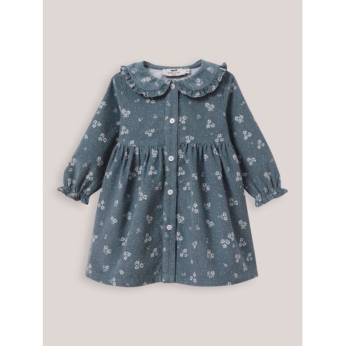 Robe en velours bleu Cyrillus La Redoute
