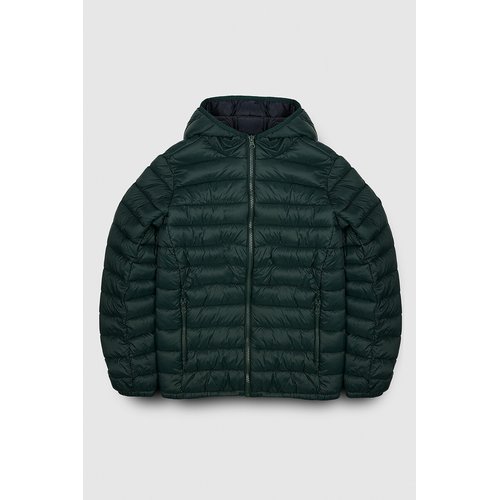 Hooded padded jacket green Teddy Smith La Redoute