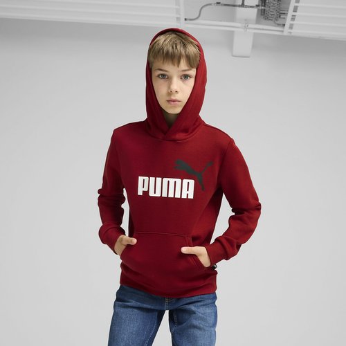 Sweat a capuche Puma La Redoute