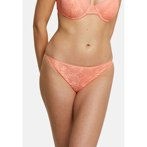 Culotte billet doux outlet