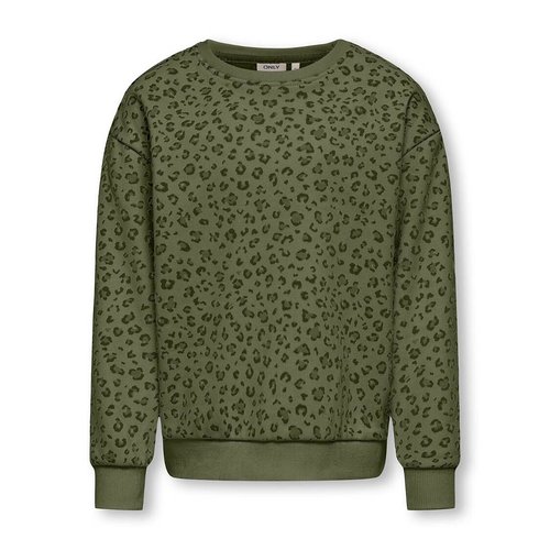 Z supply leopard sweatshirt cheap