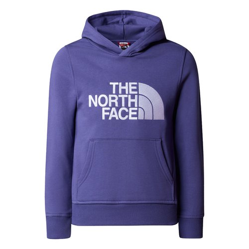 Sweat à capuche the north face top