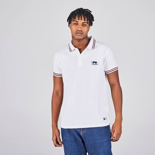 Polo IVO