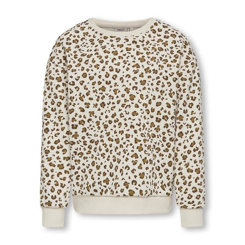 Leopard print sweatshirt store