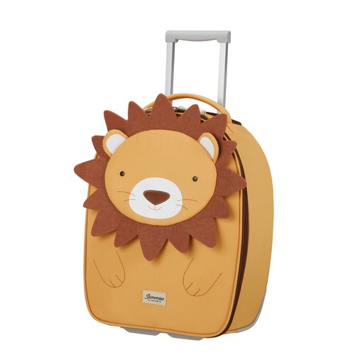 PETITE VALISE RIGIDE 20 pouces 4 roues bagage cabine à main + sacs de