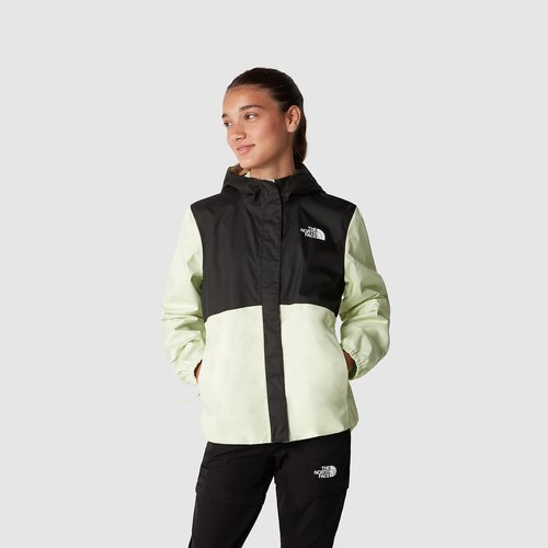 Veste ete the north face online