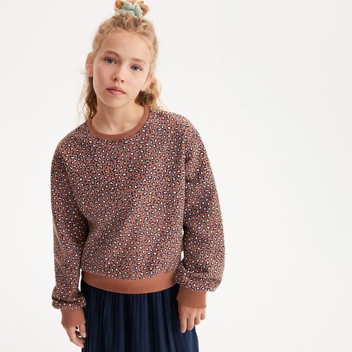 Leopard print crew neck sweater discount