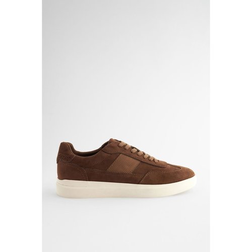Baskets habillées new arrivals
