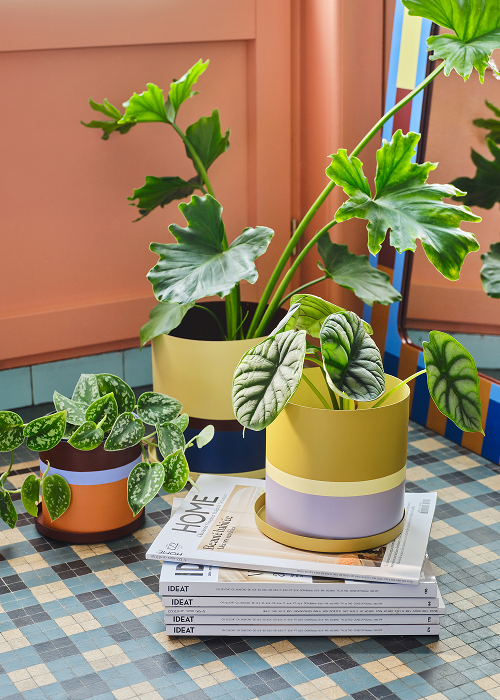 décoration