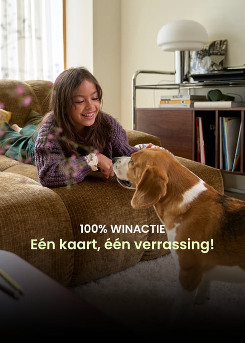 Speel het 100% WINNENDE spel!
