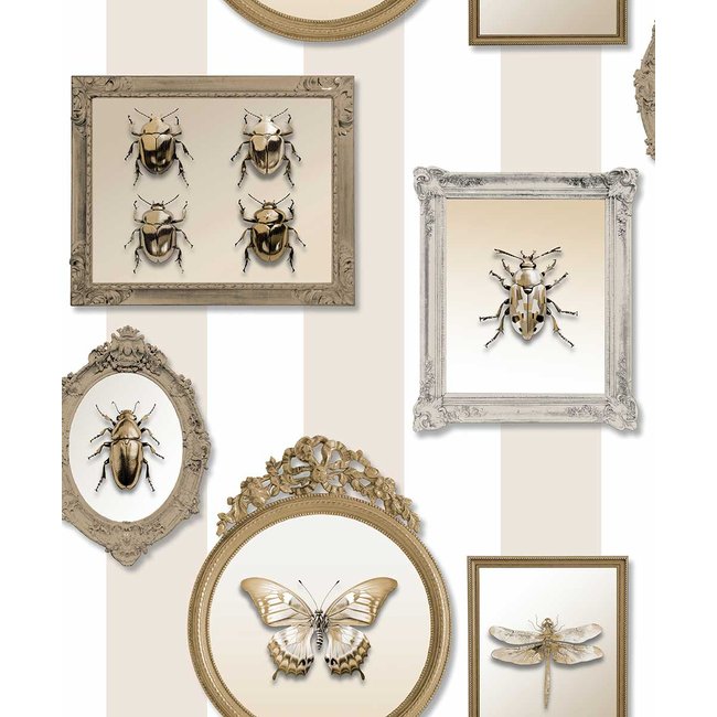 Papier peint entomologie insectes dorés cadres baroques Couleur beige <span itemprop=