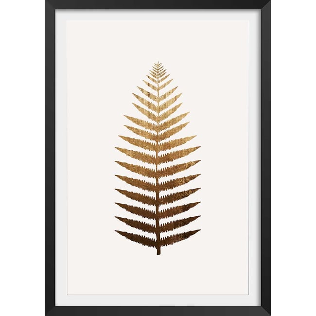 Affiche fleurs Fougere d'or - HEXOA