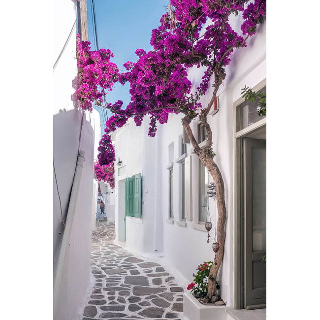 Tableau bougainvilliers paros - HEXOA