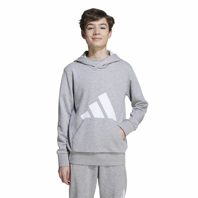 Sweat com capuz, em moletão cinzento <span itemprop=