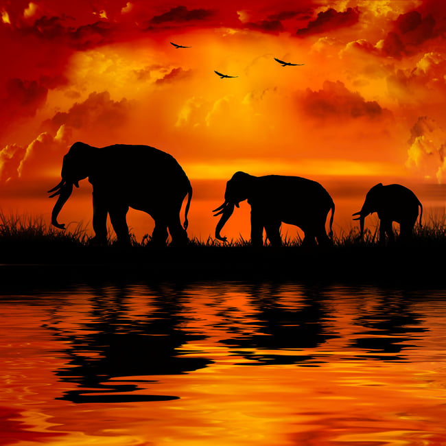 Tableau décoration africaine - HEXOA