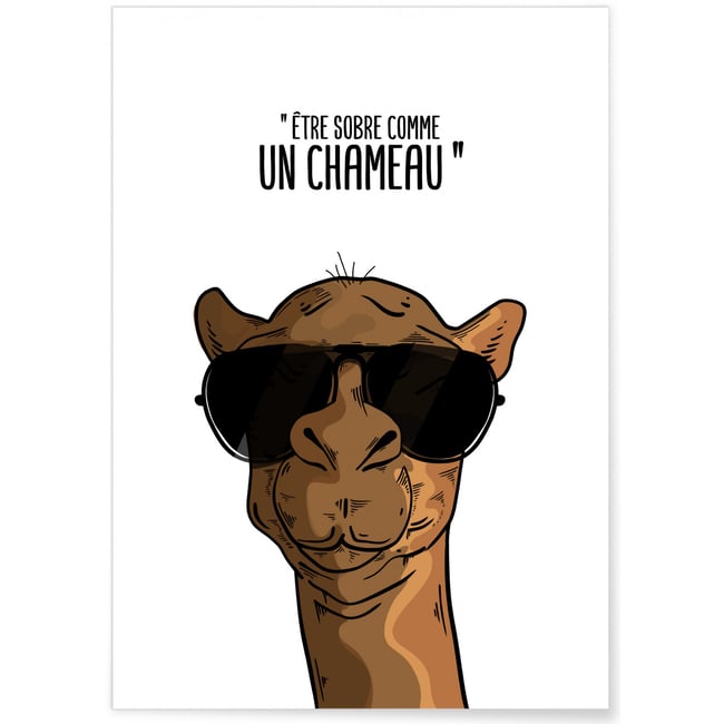 Affiche 'Sobre comme un chameau' Couleur blanc <span itemprop=