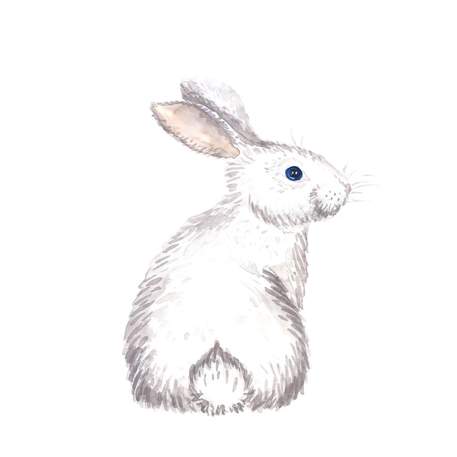 Tableau enfants pour le lapinou - HEXOA