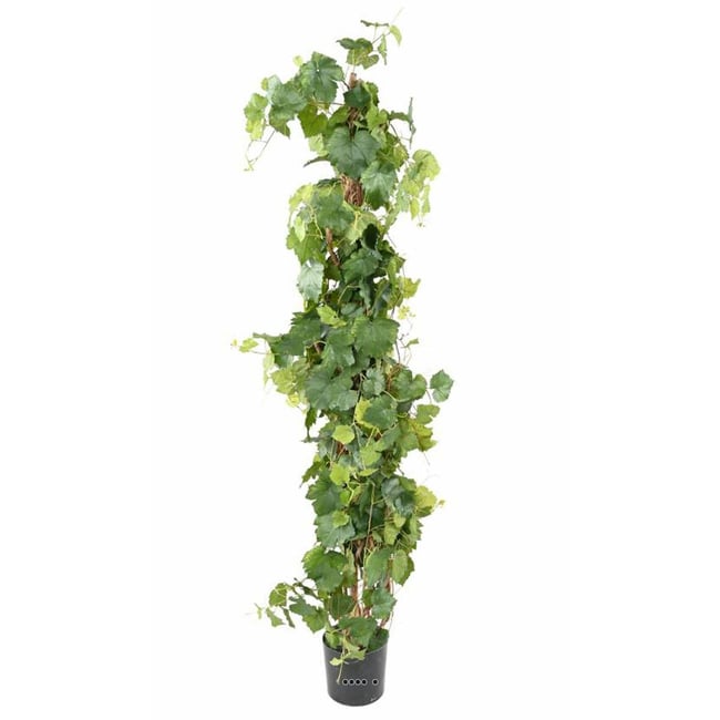 Cep de vigne artificiel en pot H 200 cm Couleur vert <span itemprop=