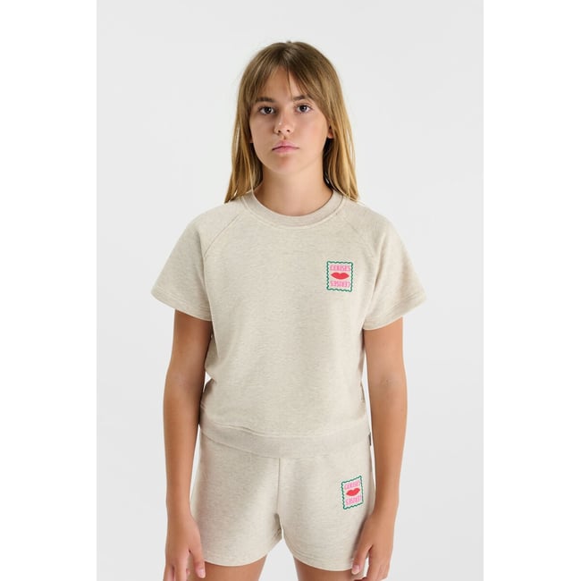 Sweat-Shirt DISAGI ash grey <span itemprop=