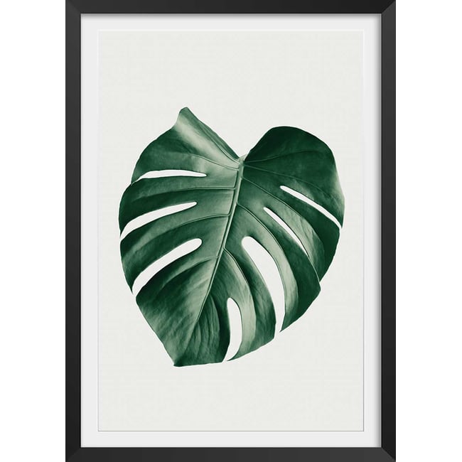 Affiche  monstera perfect - HEXOA