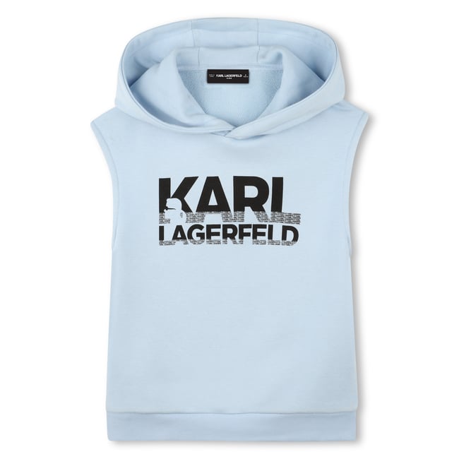 Sweat-shirt à capuche brume <span itemprop=