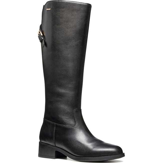Bottes  D CAMEXIA NP ABX noir <span itemprop=