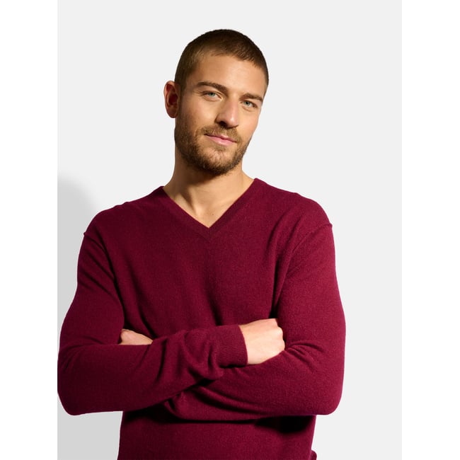 Pull Col V  Bordeaux Tom bordeaux <span itemprop=