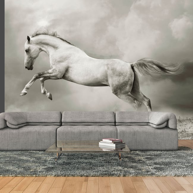 Papier peint intissé panoramique Animaux Étalon sauvage Couleur noir <span itemprop=