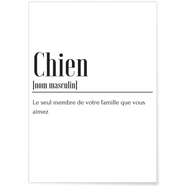 Affiche Définition Chien Couleur blanc <span itemprop=