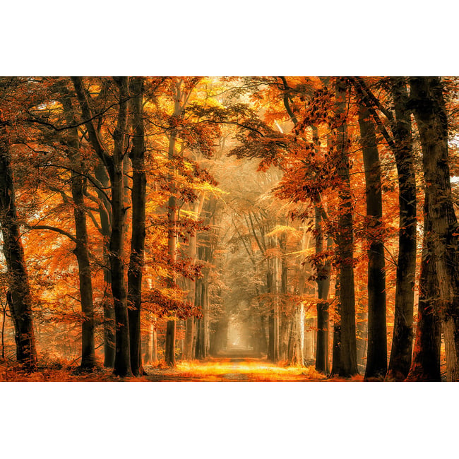 Tableau magie de l' automne - HEXOA