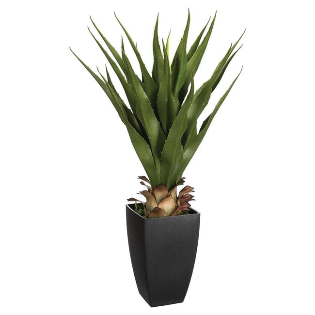 Agave artificielle Couleur vert <span itemprop=