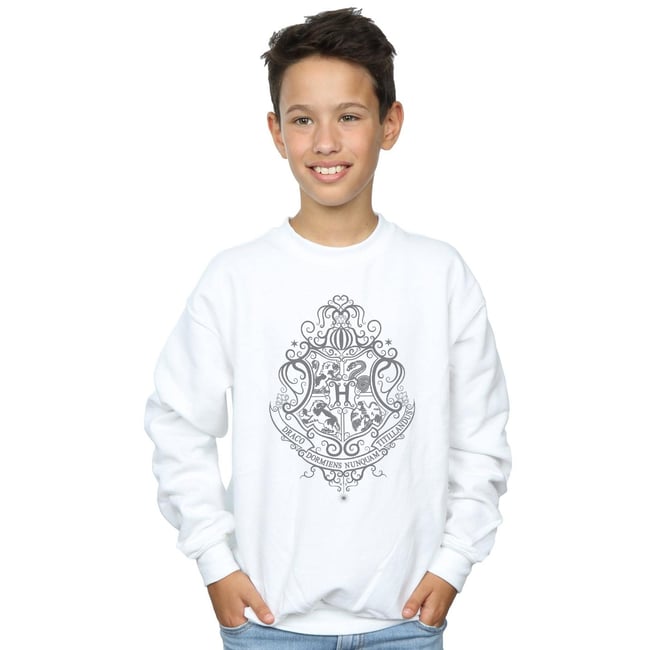 Sweat HOGWARTS DRACO DORMIENS - HARRY POTTER