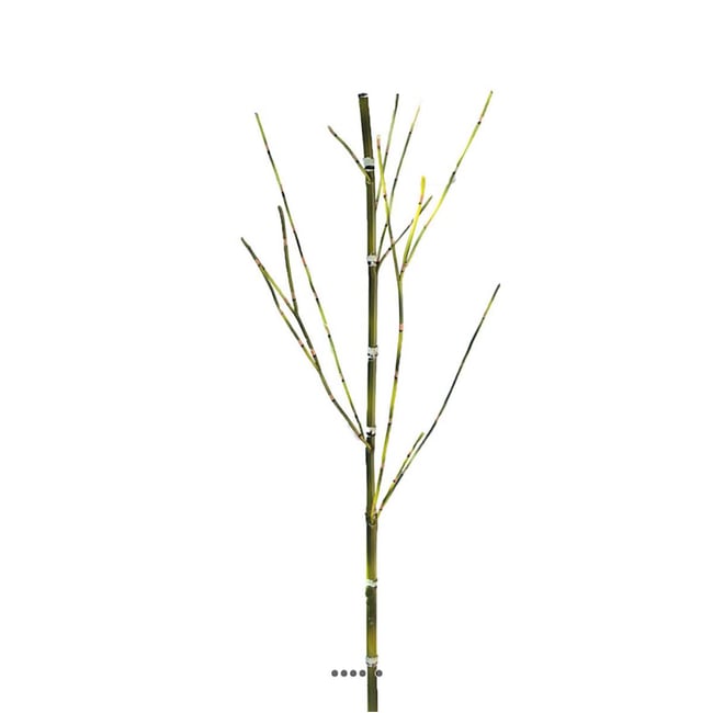 Fausse canne de bambou H 105 cm Couleur v002239 <span itemprop=