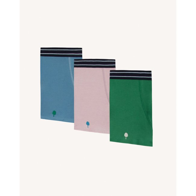 Lot de 3 boxers BOXER vert et bleu clair <span itemprop=