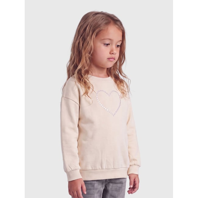 Sweat-Shirt birch <span itemprop=