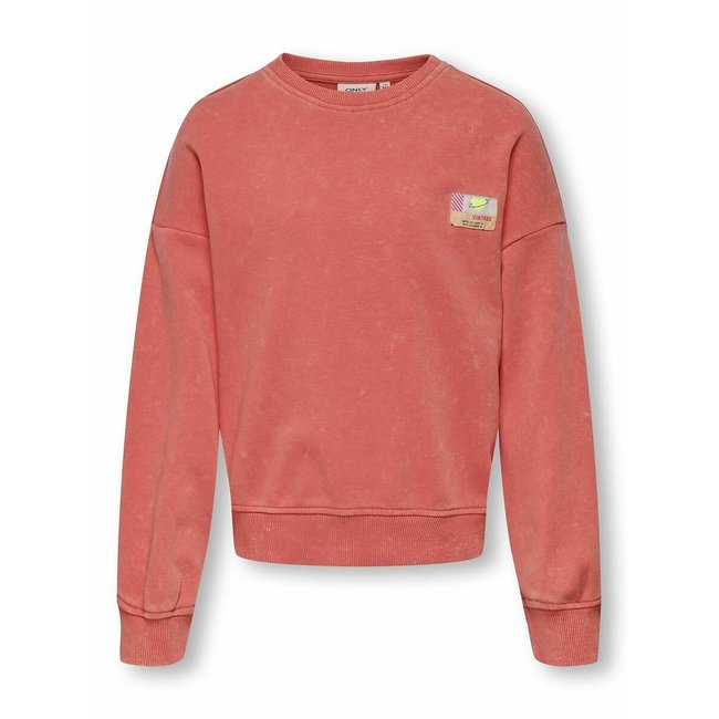 Sweat col rond avec badge rose corail <span itemprop=