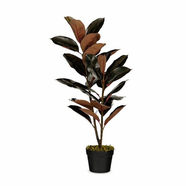 Plante artificielle RUBBERPLANT Couleur rouge <span itemprop=
