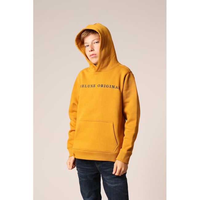 Sweat à capuche avec poche kangourou et logo brodé sur la poitrine BEN curry <span itemprop=